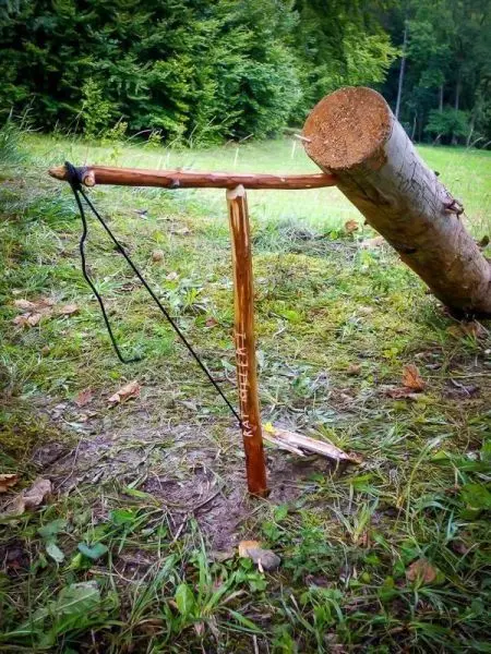 Schlagfalle (Figure-Four-Falle) mit Holzstück und Schnur im Gras aufgebaut