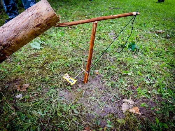 Selbstgebaute Falle mit einem Holzstück und Schnur im Gras