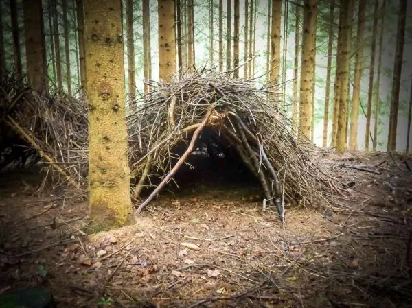 Selbstgebaute Laubhütte aus Ästen zwischen Bäumen im Wald