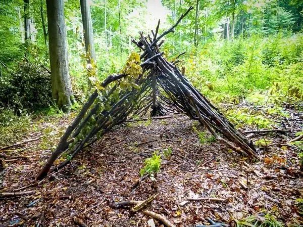 Selbstgebaute Tarp-Notunterkunft aus Ästen im Wald