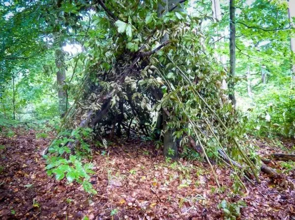 Selbstgebaute Tarp-Notunterkunft aus Ästen und Blättern im Wald