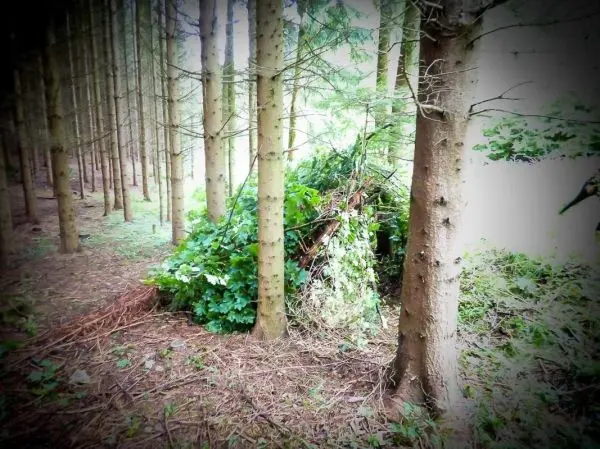 Selbstgebaute Tarp-Notunterkunft aus Ästen und Blättern im Wald
