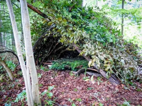 Tarp-Notunterkunft aus Ästen und Blättern im Wald