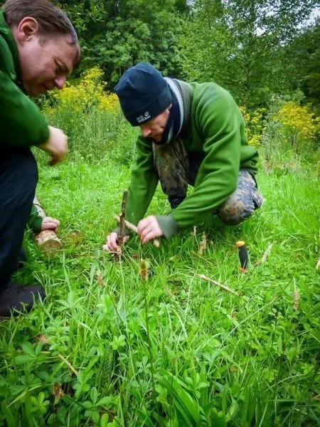 Zwei Personen arbeiten am Boden mit einem Stock und Werkzeug in einer Wiese