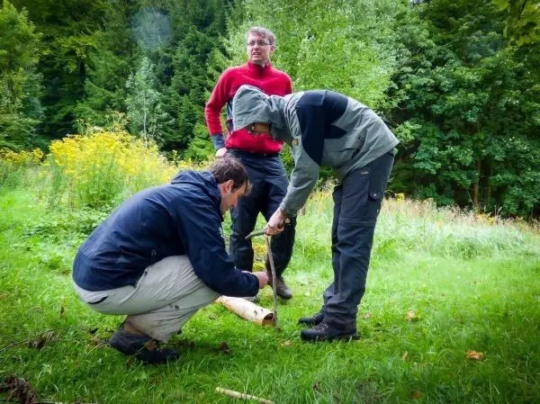 Zwei Personen arbeiten an einer Holzstück-Konstruktion auf einer Wiese