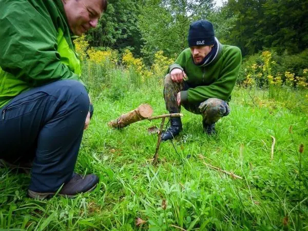 Zwei Personen betrachten eine selbstgebaute Schlagfalle (Figure-Four) im Gras