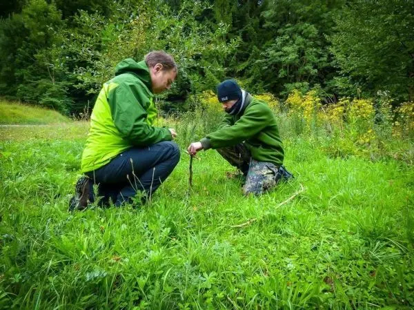 Zwei Personen knien im Gras und bearbeiten einen Stock