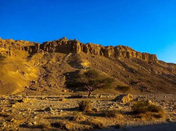Felsige Landschaft mit einem einzelnen Baum vor steilen Hängen und klarem Himmel