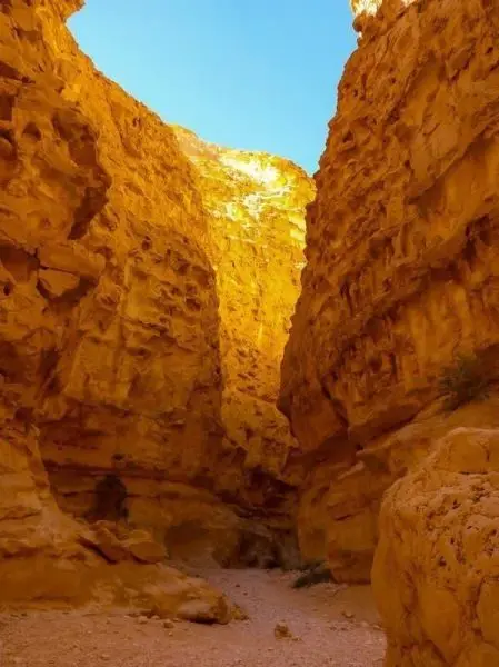 Schlucht mit steilen, orangefarbenen Felswänden und klarem Himmel oben