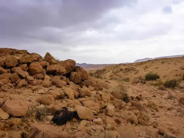 Steinige Landschaft mit Geröll und vereinzelten Pflanzen unter bewölktem Himmel