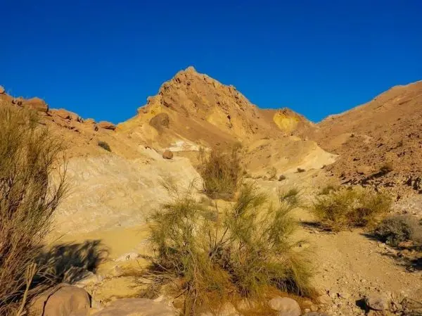 Steinige Landschaft mit Hügeln und vereinzelten Pflanzen im Vordergrund