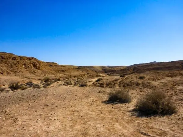 Trockene Landschaft mit steiniger Erde und vereinzelten Sträuchern unter blauem Himmel