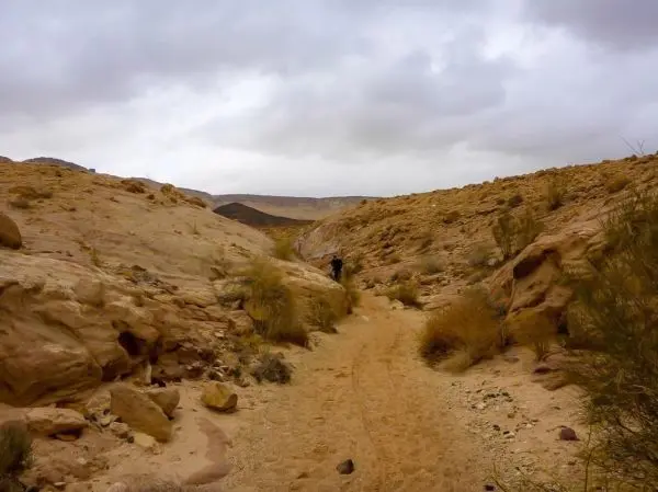 Wanderweg zwischen steilen Felsen und trockenem Gelände mit vereinzelten Pflanzen