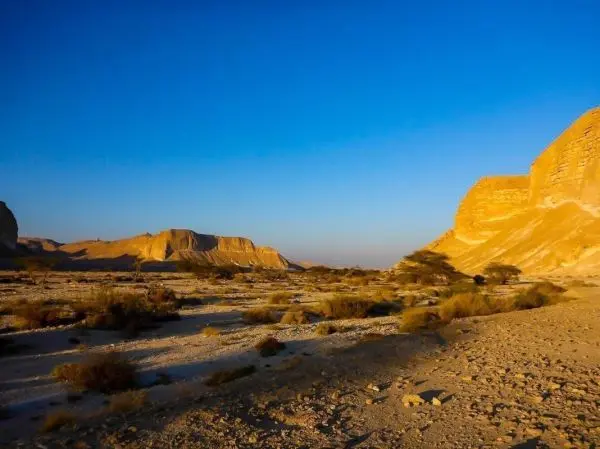Wüstenlandschaft mit Felsen und Sträuchern unter blauem Himmel
