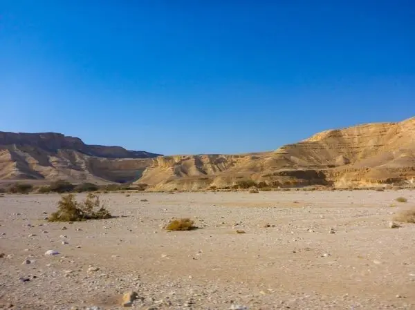 Wüstenlandschaft mit sandigem Boden und sanften Hügeln unter blauem Himmel