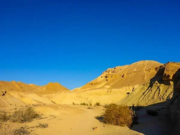Wüstenlandschaft mit sandigen Hügeln und klarem blauen Himmel
