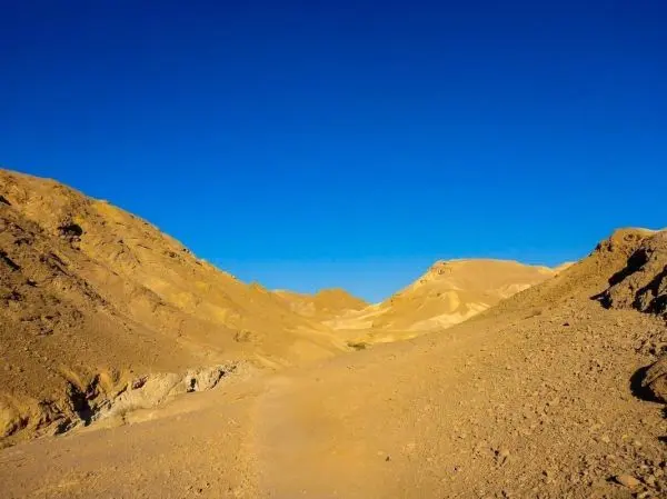 Wüstenlandschaft mit sandigen Hügeln und klarem blauen Himmel
