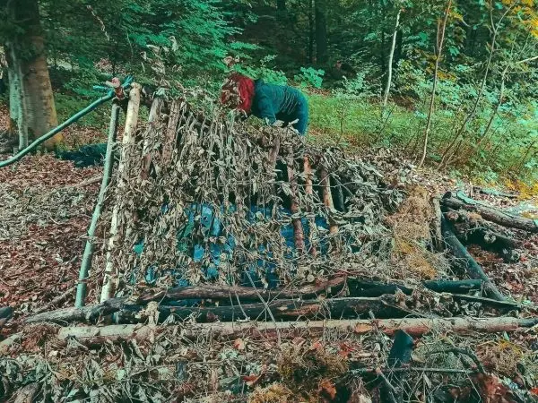 Person deckt eine selbstgebaute Tarp-Notunterkunft mit Laub ab