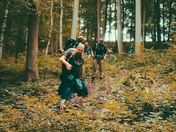 Vier Personen wandern einen Waldweg hinauf