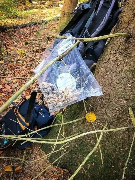 Eine Tüte mit Inhalt hängt an einem Baumstamm, Rucksack im Hintergrund