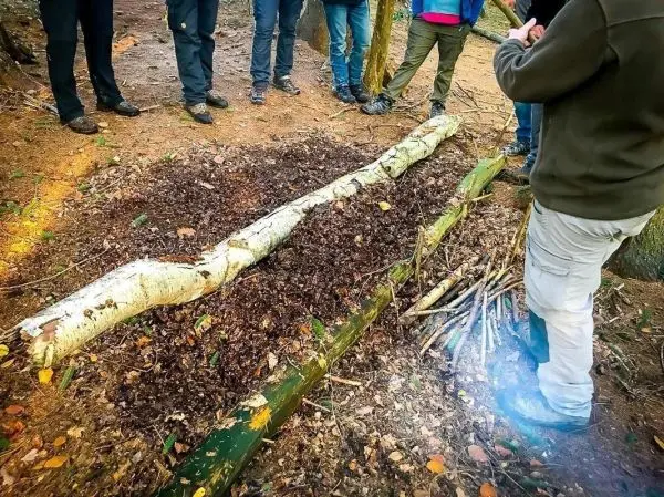 Holzstück liegt auf einem mit Blättern bedeckten Boden, umgeben von mehreren Personen