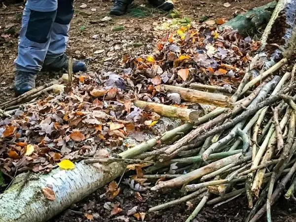 Person baut eine Unterlage aus Ästen und Blättern