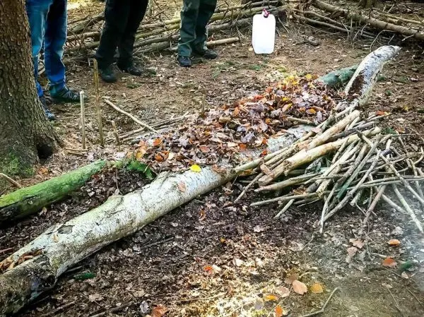 Personen stehen neben einem mit Ästen und Blättern bedeckten Baumstamm beim Überlebenstraining