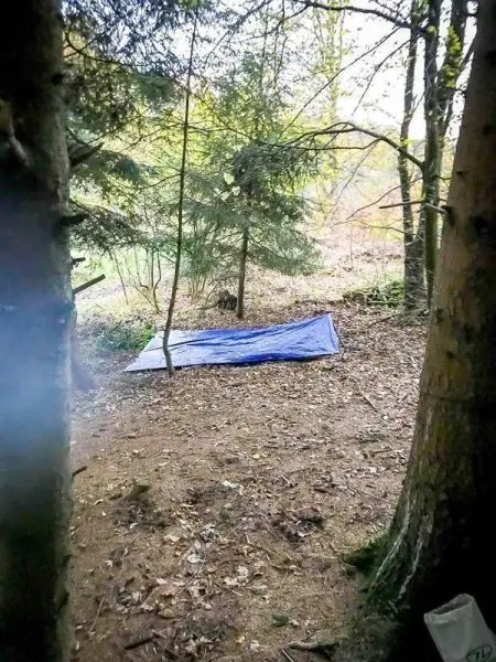 Tarp-Notunterkunft liegt auf dem Waldboden zwischen Bäumen