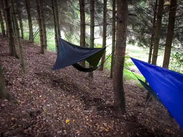 Tarp-Notunterkunft und Hängematte zwischen Bäumen im Wald