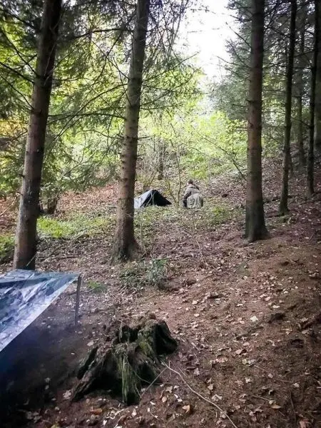 Tarp-Notunterkunft und Zelt zwischen Bäumen im Wald