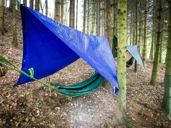 Tarp-Notunterkunft zwischen Bäumen mit blauer Plane und grüner Unterlage