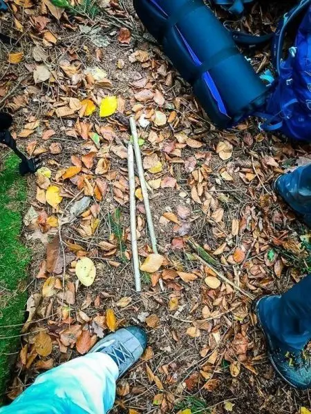 Zwei Holzstöcke liegen auf dem Boden zwischen Laub und Erde