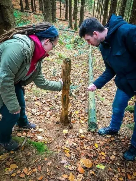 Zwei Personen untersuchen einen aufrechten Holzstamm im Wald