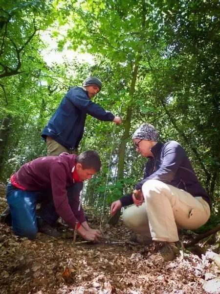 Drei Personen arbeiten gemeinsam an einem Projekt im Wald