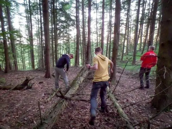 Drei Personen bauen eine selbstgebaute Konstruktion aus Ästen im Wald