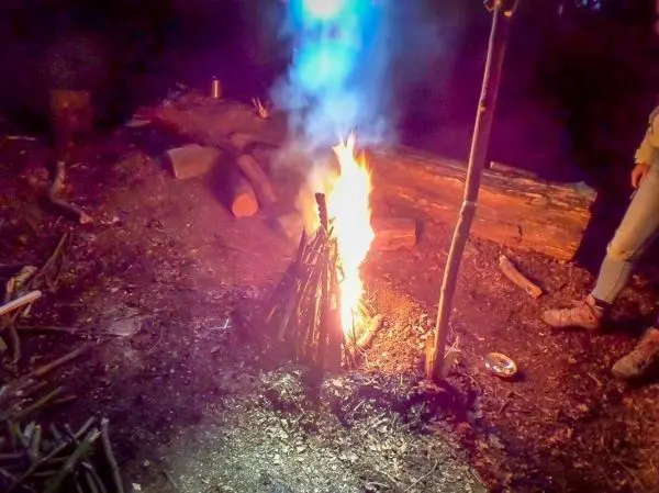 Feuer brennt zwischen Holzstämmen im Wald