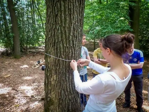 Frau bindet eine Schnur um einen Baumstamm im Wald