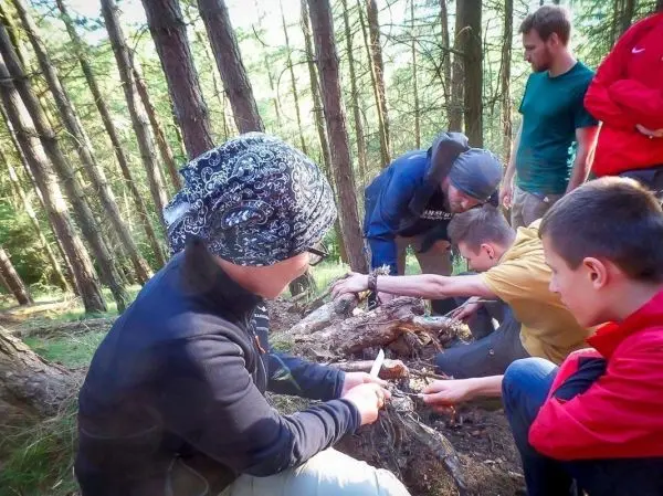 Gruppe arbeitet an einem Holzstamm im Wald, um Zunder vorzubereiten