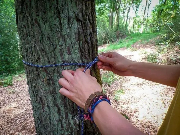 Hände binden eine Schnur um einen Baumstamm im Wald