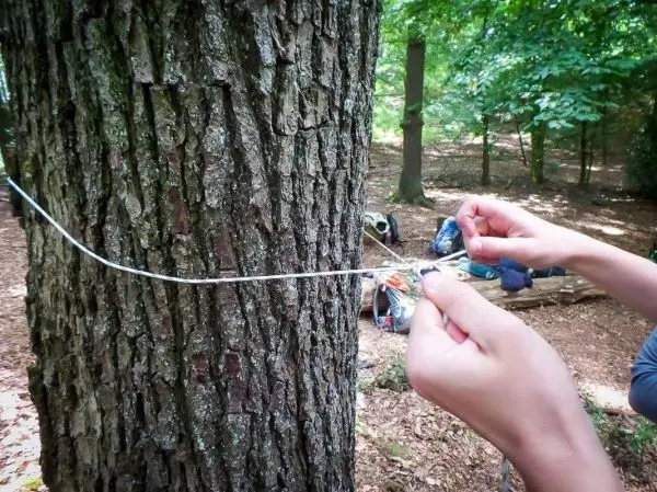 Hände binden eine Schnur um einen Baumstamm im Wald