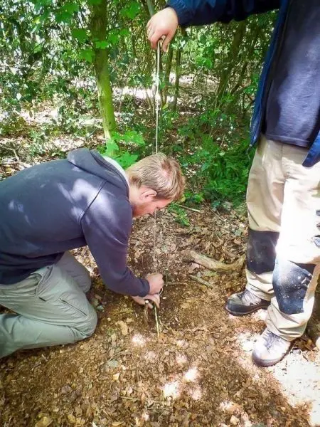 Person bearbeitet den Boden mit einem Stock im Wald