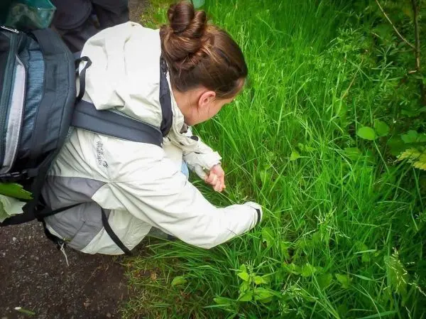 Person beugt sich über Gras und greift nach einer Pflanze