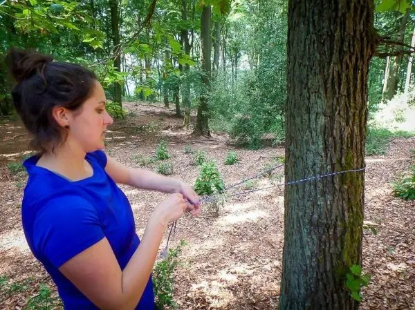 Person bindet ein Seil um einen Baum