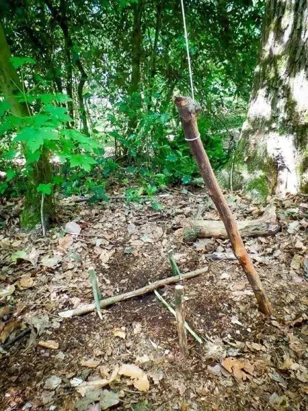 Selbstgebaute Falle aus Ästen im Wald auf dem Boden