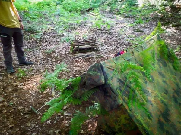 Tarp-Notunterkunft mit Ästen und Farnen in einem Waldgebiet