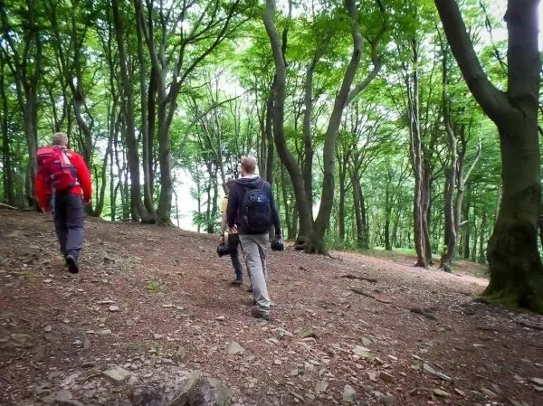 Wanderer gehen einen schmalen Pfad durch einen bewaldeten Hang