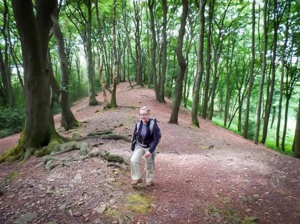 Wanderer geht einen schmalen Pfad durch einen bewaldeten Hang