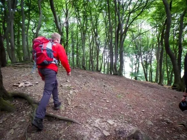 Wanderer mit rotem Rucksack geht einen Waldweg entlang