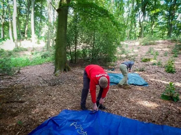 Zwei Personen bauen eine Tarp-Notunterkunft im Wald auf