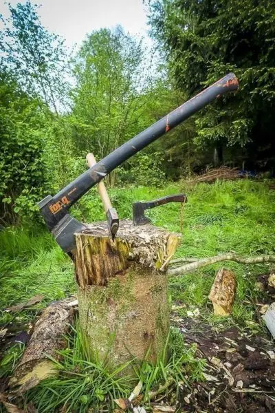 Axt und Beil liegen auf einem Holzstamm in einer grünen Umgebung